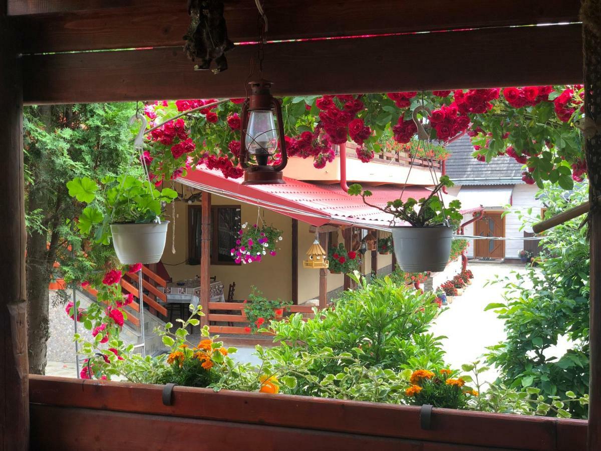 Casa Boico Hotel Gura Humorului Exterior photo